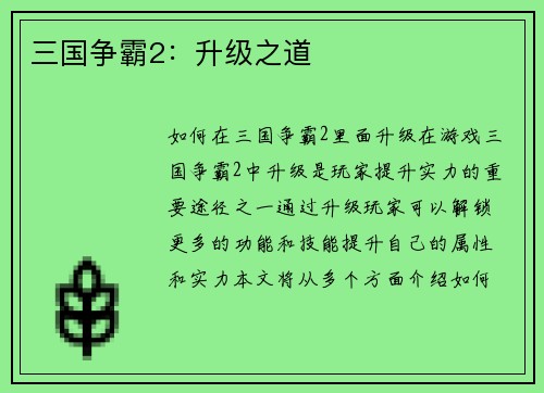 三国争霸2：升级之道