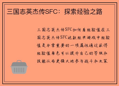 三国志英杰传SFC：探索经验之路